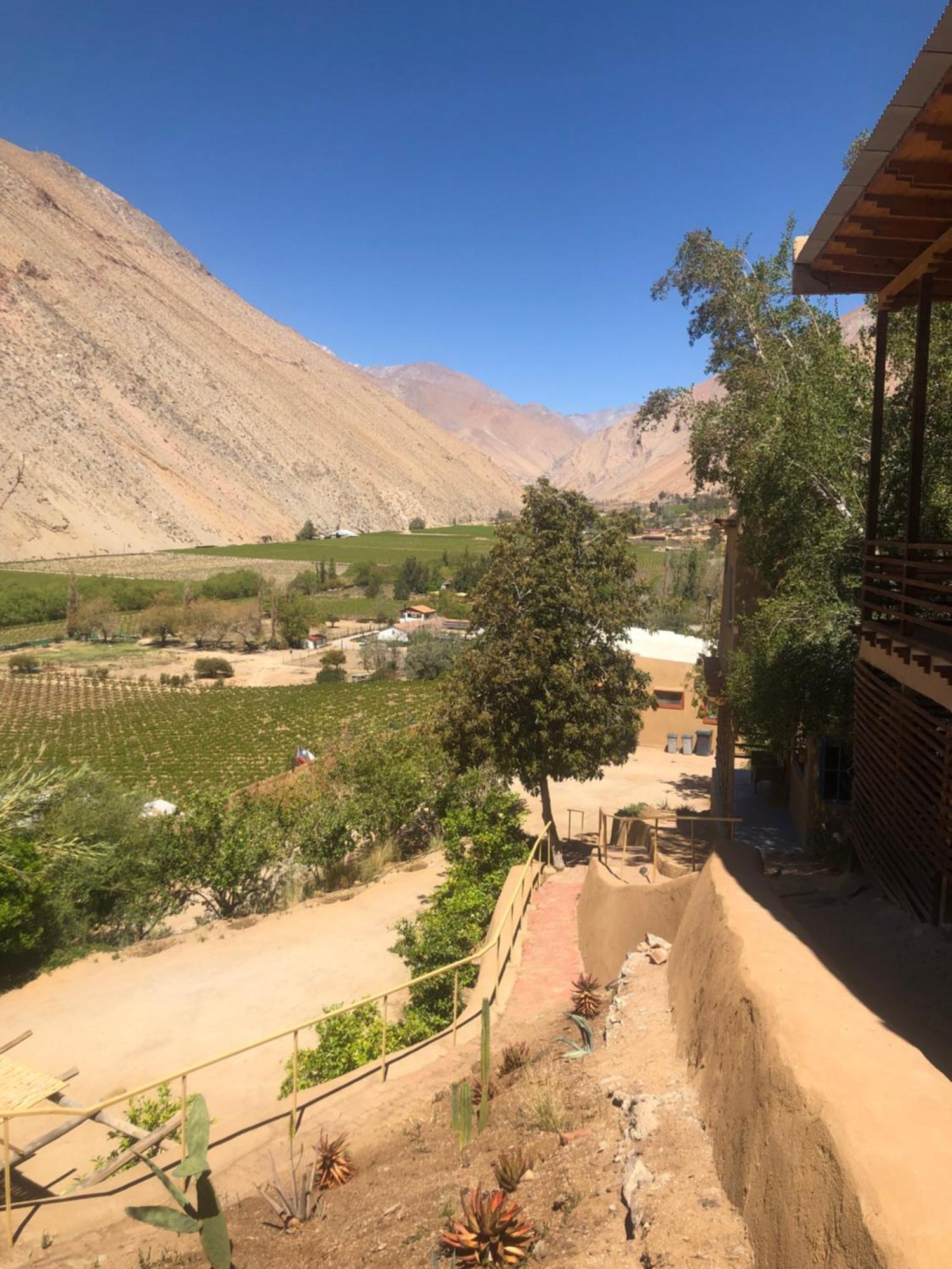 Cabanas Elquimista Pisco Elqui Exteriör bild