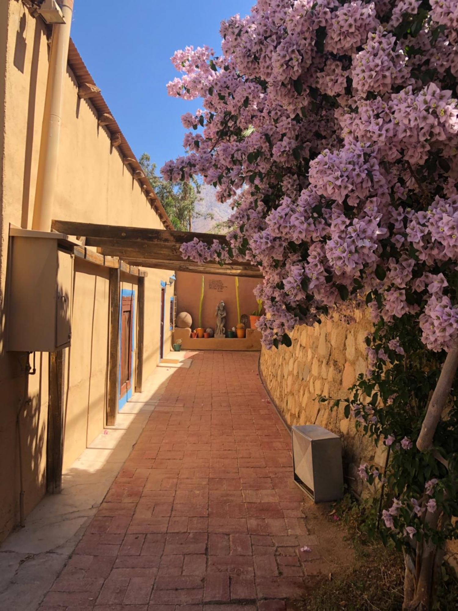 Cabanas Elquimista Pisco Elqui Exteriör bild