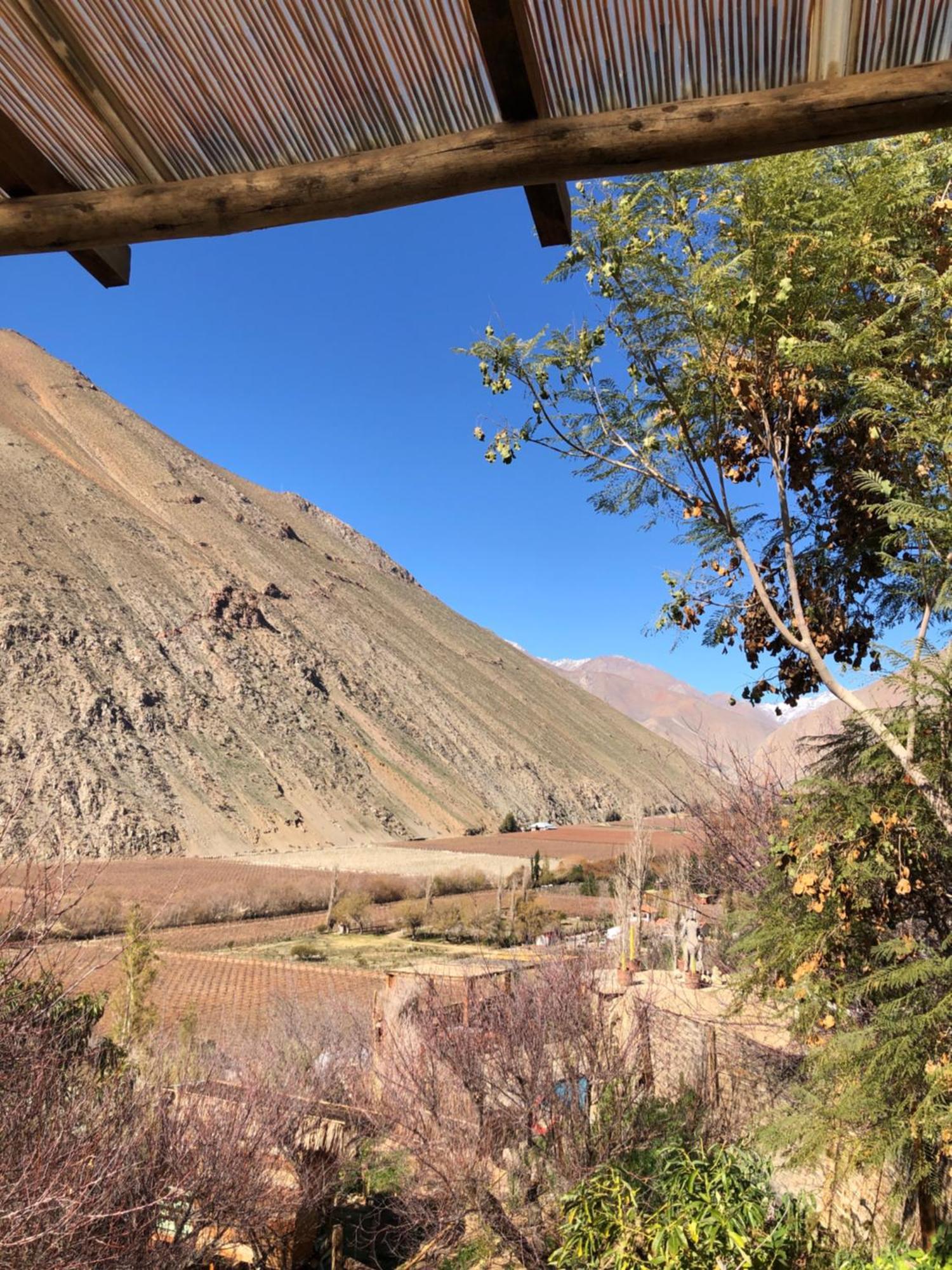 Cabanas Elquimista Pisco Elqui Exteriör bild