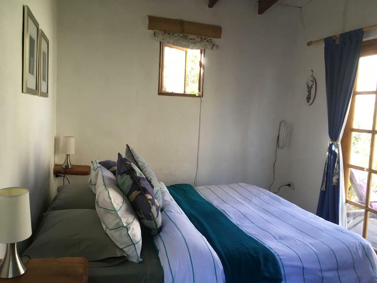 Cabanas Elquimista Pisco Elqui Exteriör bild